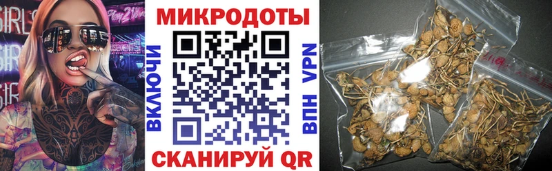 Псилоцибиновые грибы Psilocybine cubensis  Купить где  Обь 